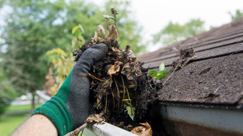 Gutter cleaning