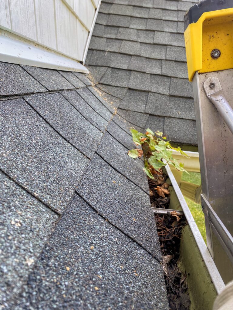 Gutter Cleaning and Maintenance